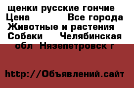 щенки русские гончие › Цена ­ 4 000 - Все города Животные и растения » Собаки   . Челябинская обл.,Нязепетровск г.